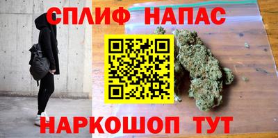 гидра Моздок