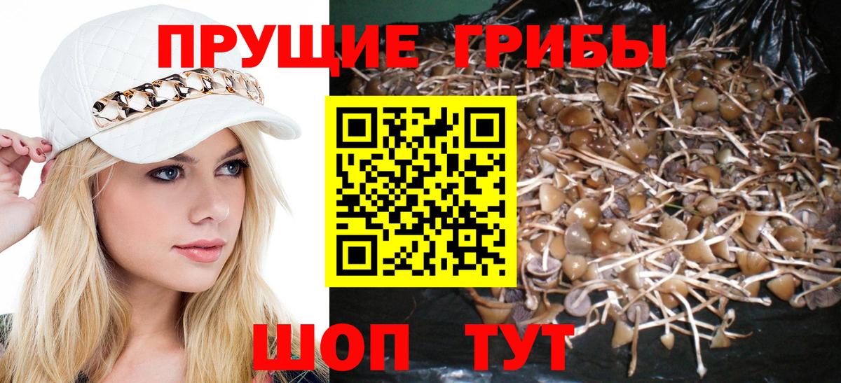 Псилоцибиновые грибы мухоморы Чехов