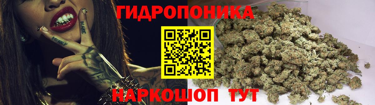 Каннабис ГИДРОПОН  Вход с VPN  Бошки Шишки планчик  Марихуана OG Kush  Чехов 